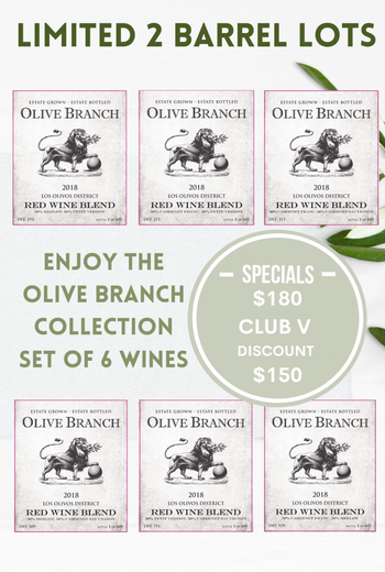 Olive Branch Variety Pack