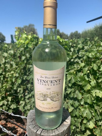 2019 Sauvignon Blanc
